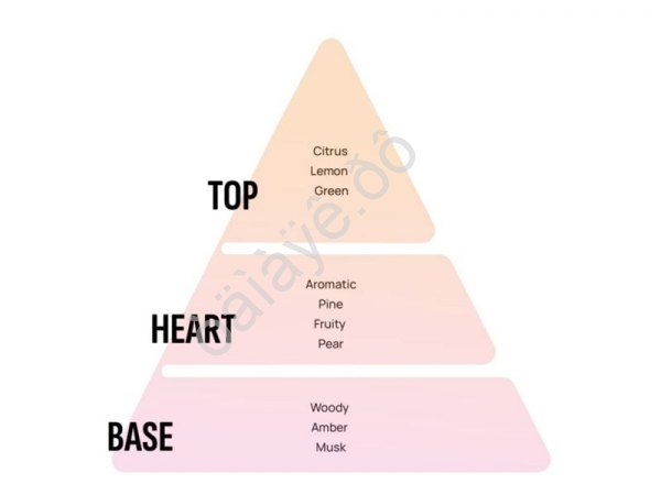 Освежитель воздуха "Аreon MON" подвесной бумажный (Black CrystalЧерный Кристалл) Освежитель воздуха "Аreon MON" подвесной бумажный (Black CrystalЧерный Кристалл)