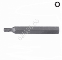 F1767560 Бита TORX T60 L=75mm /10/150/300 F1767560 Бита TORX T60 L=75mm /10/150/300